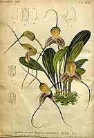  no thumbnail available