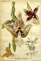  no thumbnail available