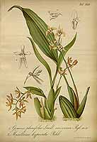  no thumbnail available