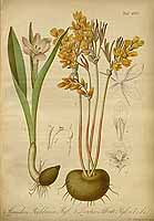  no thumbnail available