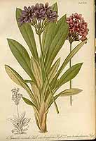  no thumbnail available