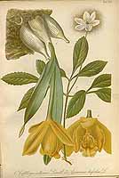  no thumbnail available