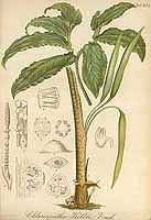  no thumbnail available