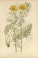  no thumbnail available