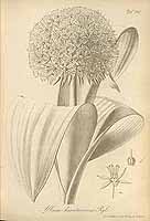  no thumbnail available