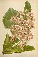  no thumbnail available