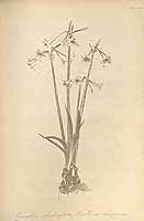  no thumbnail available