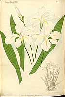  no thumbnail available