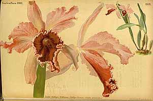  no thumbnail available