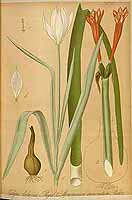  no thumbnail available