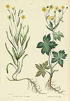  no thumbnail available