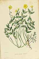  no thumbnail available