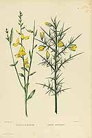  no thumbnail available