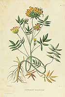  no thumbnail available