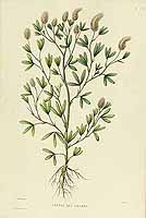  no thumbnail available