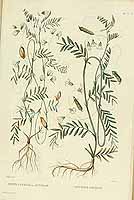  no thumbnail available