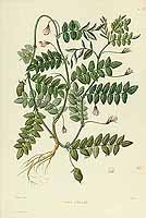  no thumbnail available