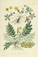  no thumbnail available