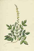  no thumbnail available