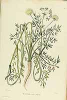  no thumbnail available