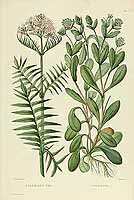  no thumbnail available