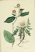  no thumbnail available