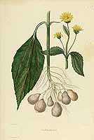  no thumbnail available