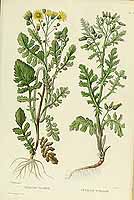  no thumbnail available