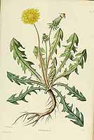  no thumbnail available