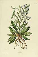  no thumbnail available