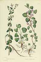  no thumbnail available