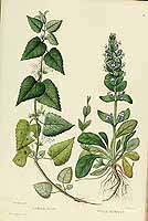  no thumbnail available