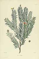  no thumbnail available