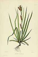  no thumbnail available