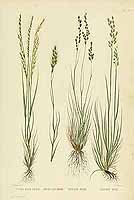  no thumbnail available