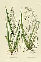  no thumbnail available