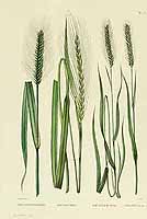  no thumbnail available