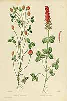  no thumbnail available