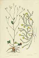  no thumbnail available