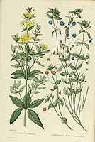  no thumbnail available