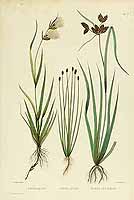  no thumbnail available