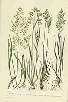  no thumbnail available