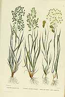  no thumbnail available