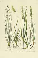  no thumbnail available