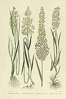  no thumbnail available