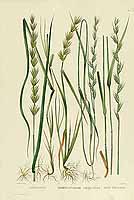  no thumbnail available