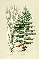  no thumbnail available