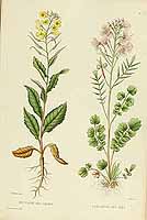  no thumbnail available