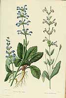  no thumbnail available