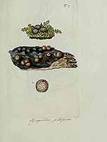  no thumbnail available